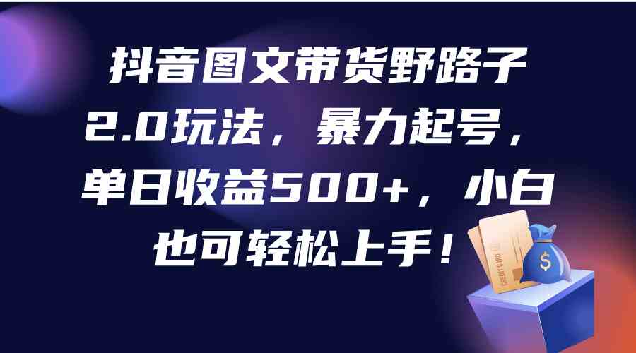 （9790期）抖音图文带货野路子2.0玩法，暴力起号，单日收益500+，小白也可轻松上手！-资源网