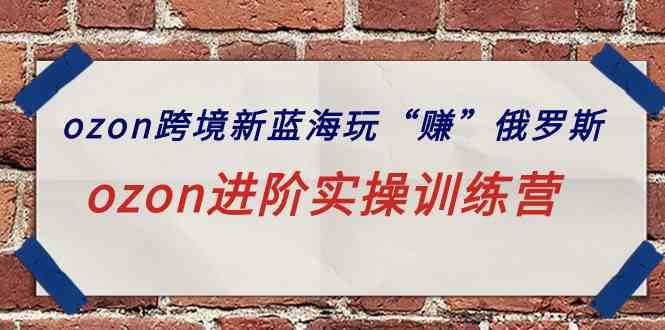 （9800期）ozon跨境新蓝海玩“赚”俄罗斯，ozon进阶实操训练营-资源网