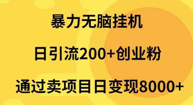 （9788期）暴力无脑挂机日引流200+创业粉通过卖项目日变现2000+-资源网