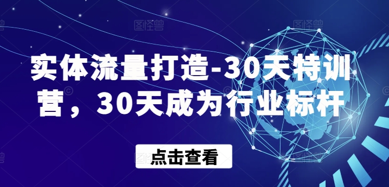实体流量打造-30天特训营，30天成为行业标杆-资源网