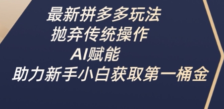 最新拼多多玩法，抛弃传统操作，AI赋能，助力新手小白获取第一桶金-资源网
