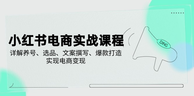 （14549期）小红书电商实战课程，详解养号、选品、文案撰写、爆款打造，实现电商变现-资源网