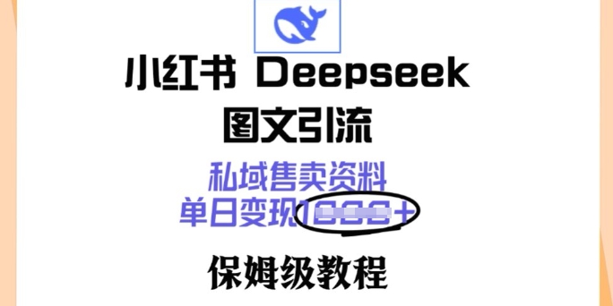 小红书Deepseek图文引流，私域售卖资料，单日变现多张，保姆级教程-资源网