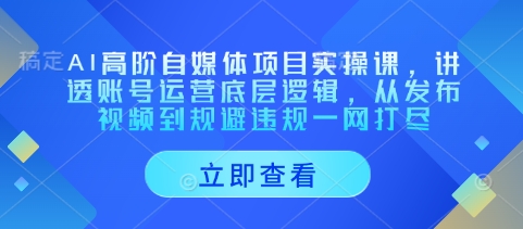 AI高阶自媒体项目实操课，讲透账号运营底层逻辑，从发布视频到规避违规一网打尽-资源网