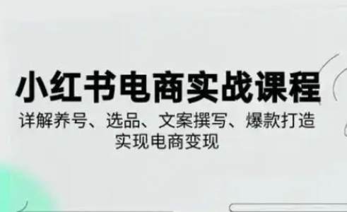 小红书从0-1实操课(2023-2025)，详解养号、选品、文案撰写、爆款打造实现电商变现-资源网
