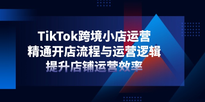 （14369期）TikTok跨境小店运营，精通开店流程与运营逻辑，提升店铺运营效率-资源网