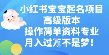 小红书宝宝起名项目高级版本，操作简单，资料专业，月入过W-资源网