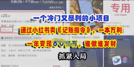 一个冷门需求，通过小红书卖《记账指令》，一本万利，谁做谁发，抓紧入局-资源网