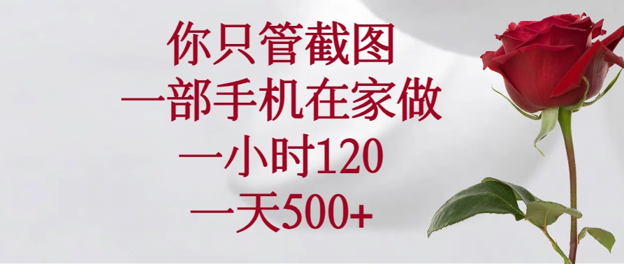 （14248期）你只管截图，一部手机在家做，一小时120，一天500+-资源网