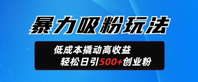 暴力吸粉玩法，日引500+精准创业粉，日变现轻松多张-资源网