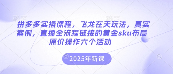 拼多多实操课程，飞龙在天玩法，真实案例，直播全流程链接的黄金sku布局原价操作六个活动-资源网