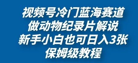 视频号冷门蓝海赛道，做动物纪录片解说，新手小白也日入3张，保姆级教程-资源网