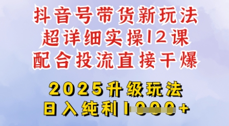 2025全新升级抖音带货玩法，一天纯利四位数，从剪辑到选品再到发布投流，超详细玩法揭秘-资源网