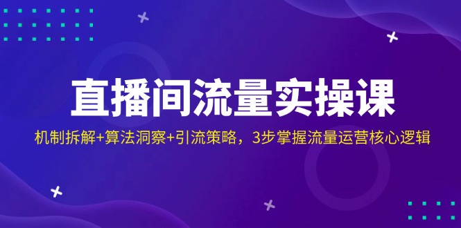 （14122期）直播间流量实操课：机制拆解+算法洞察+引流策略，3步掌握流量运营核心逻辑-资源网