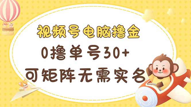 （14220期）视频号电脑撸金 0撸单号30+ 可矩阵 无需实名多号多得-资源网