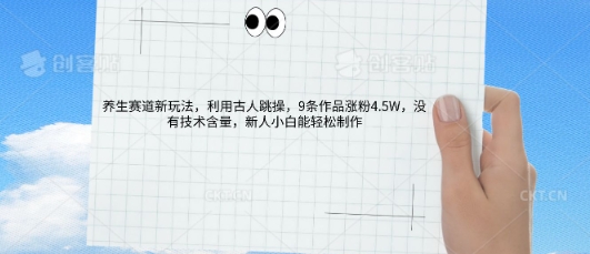 AI养生赛道新玩法，10条作品涨粉5.2W，操作简单，新人小白能轻松制作-资源网