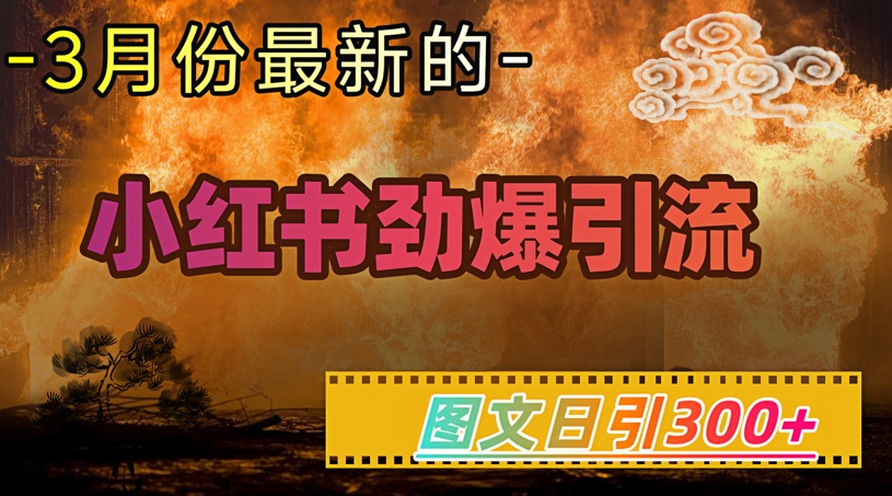 小红书超劲爆引流手段，图文日引300+轻松变现1W-资源网