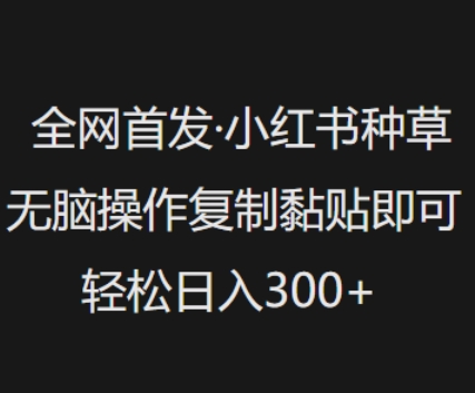 全网首发，小红书种草无脑操作，复制黏贴即可，轻松日入3张-资源网
