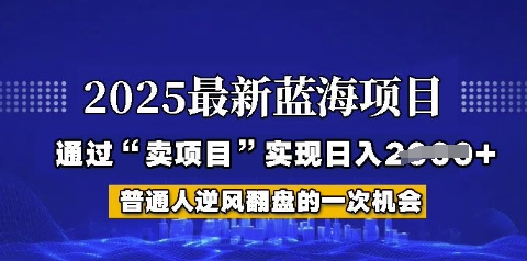 2025年首次揭秘如何通过“网创项目”日入多张【揭秘】-资源网