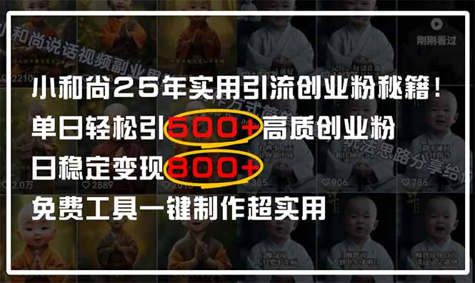 （14436期）小和尚2025年实用引流秘籍！单日轻松引500+高质量创业粉，日变现800+，…-资源网