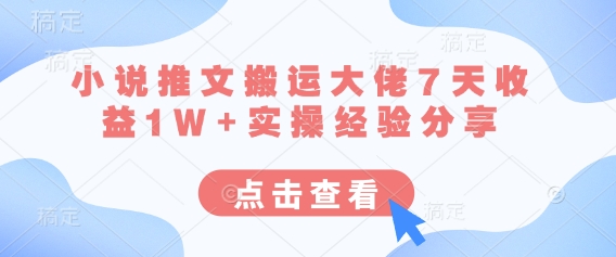 小说推文搬运大佬7天收益1W+实操经验分享-资源网