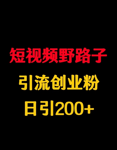 短视频野路子引流创业粉，日引200+-资源网