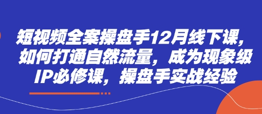 短视频全案操盘手12月线下课，如何打通自然流量，成为现象级IP必修课，操盘手实战经验-资源网