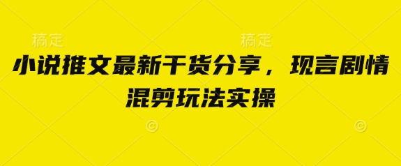 小说推文最新干货分享，现言剧情混剪玩法实操-资源网