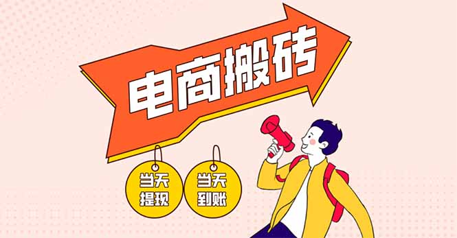 （14310期）电商搬砖项目，单机日收益300+，非常暴力，小白上手就会-资源网