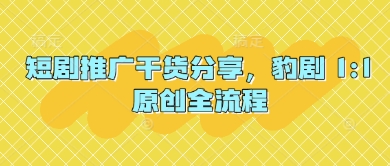 短剧推广干货分享，豹剧 1:1原创全流程-资源网