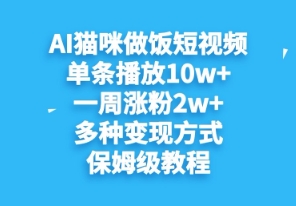 AI猫咪做饭短视频，单条播放10w+，一周涨分2w+，多种变现方式，保姆级教程-资源网