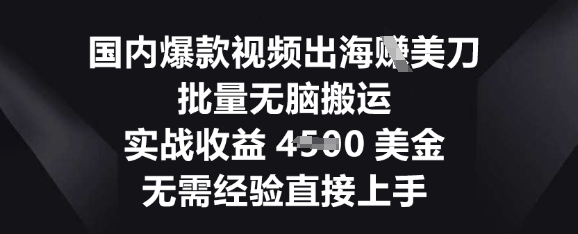 国内爆款视频出海挣美刀，批量无脑搬运，实战收益4.5k，无需经验直接上手-资源网