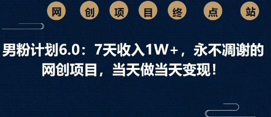 男粉计划6.0：7天收入1W+，永不凋谢的网创项目，当天做当天变现-资源网
