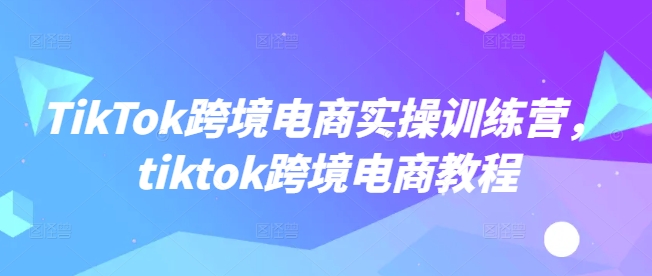 TikTok跨境电商实操训练营，tiktok跨境电商教程-资源网