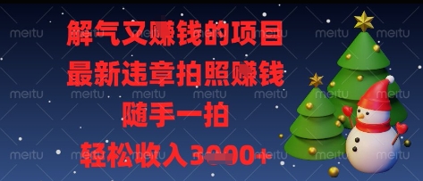 解气又挣钱的项目，最新违章拍照挣钱，随手一拍，轻松收入多张【揭秘】-资源网