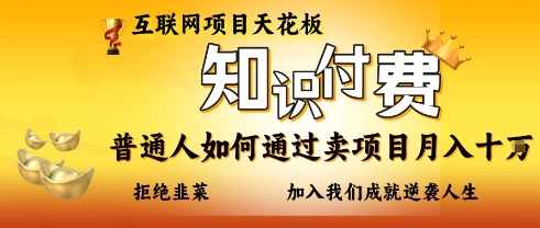 互联网项目天花板，知付付费项目，普通人如何通过卖项目月入十个，拒绝韭菜【揭秘】-资源网