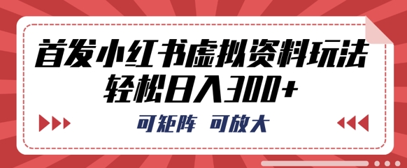 首发小红书虚拟资料玩法，可矩阵，可放大，轻松日入3张-资源网