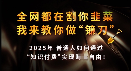 知识付费如何做到月入过W+，2025我来教你做“镰刀”【揭秘】-资源网