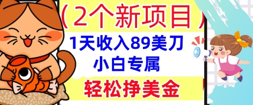 2个新项目，轻松挣美金， 1天收入89美刀，小白专属，干货分享-资源网