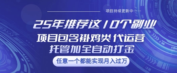 25年推荐这10个副业项目包含褂鸡类、代运营托管类、全自动打金类【揭秘】-资源网
