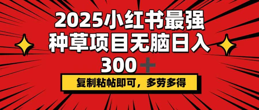（14375期）2025小红书最强种草项目，无脑日入300+，复制粘帖即可，多劳多得-资源网