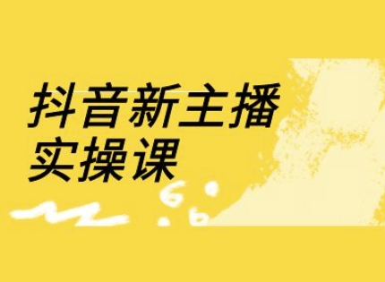 抖音新主播实操课，直播间流量运营线上实操课(18节)-资源网