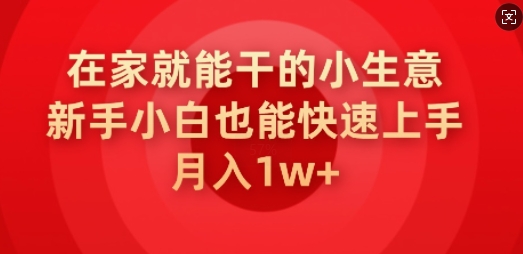 在家就能干的小生意，新手小白也能快速上手，月入1w-资源网