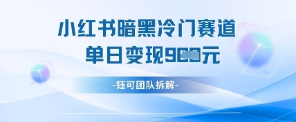 小红书冷门”暗黑”赛道，单日收益多张-资源网