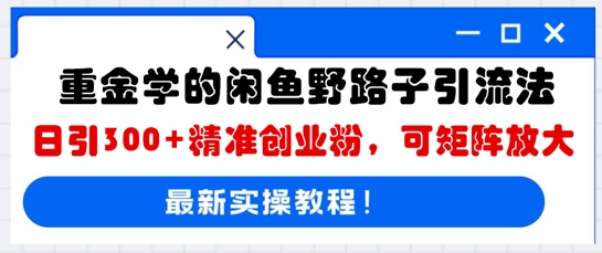 重金学的闲鱼野路子引流法，日引300+精准创业粉，可矩阵放大-资源网