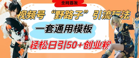 视频号“野路子”玩法，评论区疯狂截流，一套模板单日单号引流50+创业粉-资源网