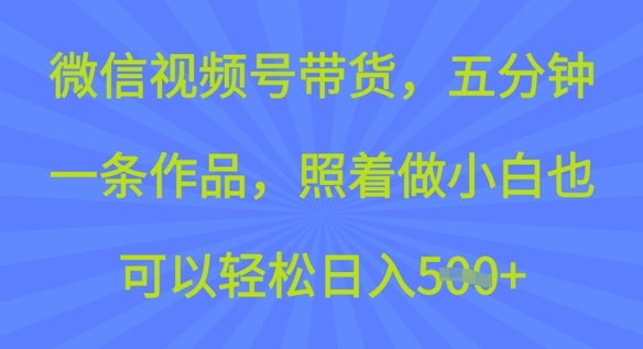 微信视频号带货，五分钟一条作品，照着做小白也可以轻松日入5张-资源网
