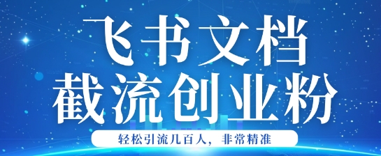 利用飞书文档截流创业粉轻松引流200+-资源网