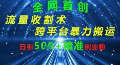 全网流量收割术：跨平台暴力搬运，日引500+精准创业粉-资源网