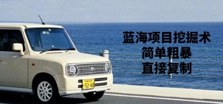 蓝海项目挖掘术，简单粗暴，直接复制-资源网